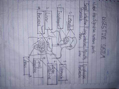 Image result for Science Notes for 8th Graders