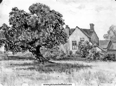 Searching Picture Sheffield