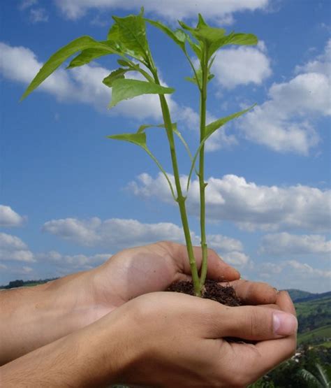 WORLD ENVIRONMENT DAY 2023 AND MISSION LiFE
