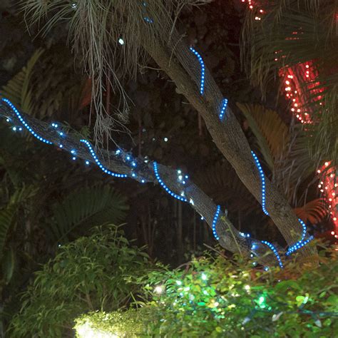 How To Attach Led Rope Lights at Humberto Watts blog