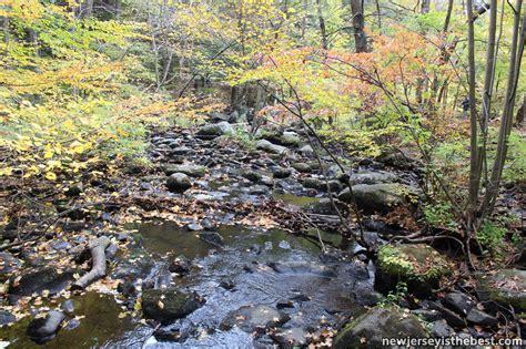 Creek at Allamuchy Mountain State Park – New Jersey is the Best