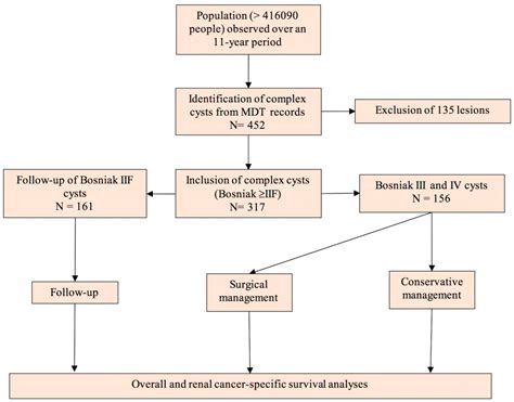Classification Of Renal Cysts