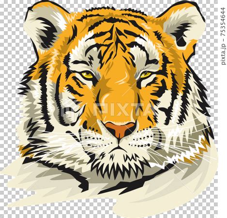 Image result for Custom CSS File