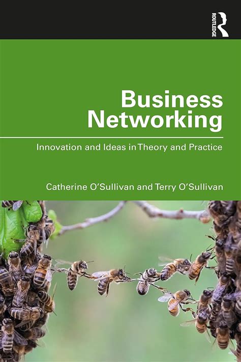 Buy Business Networking: Innovation and Ideas in Theory and Practice ...