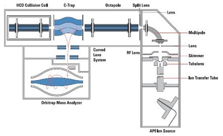 Image result for Orbitrap LCMS