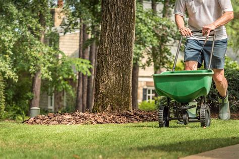 2023 Cost to Reseed a Lawn — Grass Seed Prices