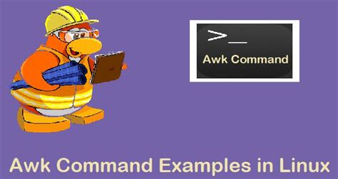 Awk Command Examples 的图像结果
