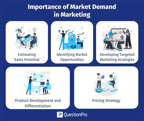 La demande du marché : Définition, stratégies et méthodes de calcul