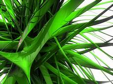 Wallpaper Green by Wallpapers Green Abstract Wallpapers Wallpaper Green