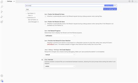 vs Code Hot Reload 的图像结果