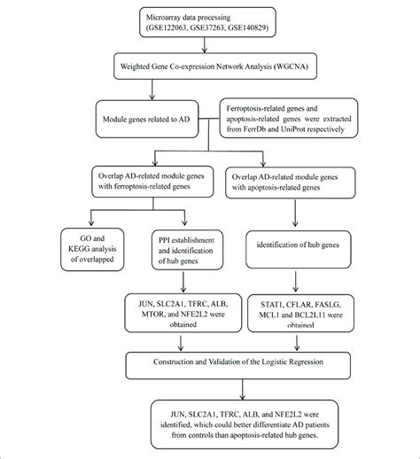 Image result for Data Processing Workflow Chart
