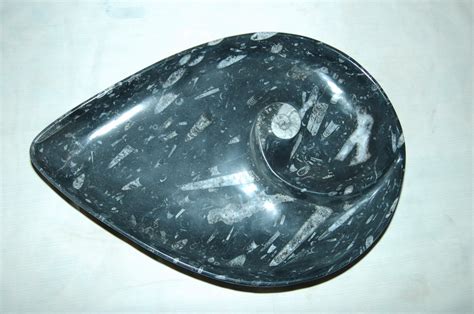 Fossil Marble Dishes - Marble Bowls Wholesale - Fossil stones home decors