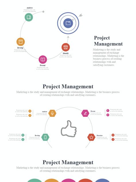Image result for Project Manager Role Infographic