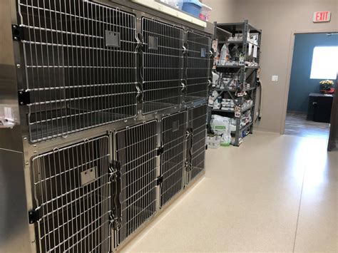 Must Know Mokena Animal Hospital Hours Article
