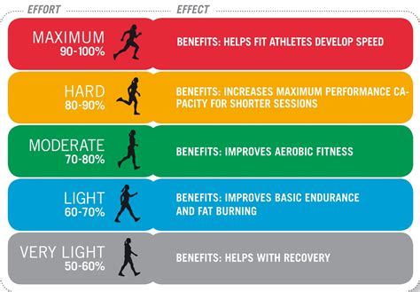Polar Heart Rate Zones Chart Polar Heart Rate Monitors Buyer's Guide