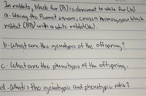 Solved: In rabbits, black fur (B) is dominant to while fur(b). a. Using ...