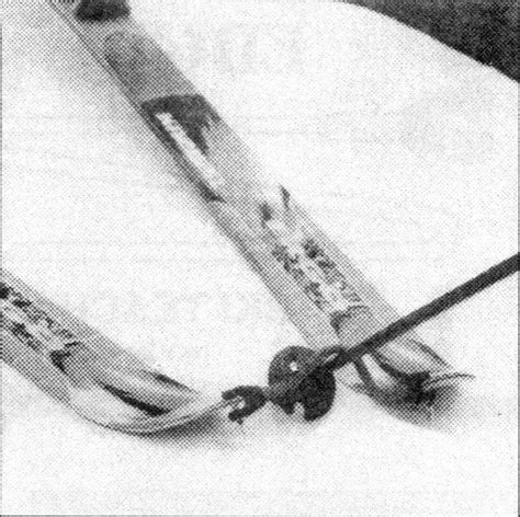 Buy Edgie Wedgie - The Original Kids Ski Tip Connector Online at Lowest ...