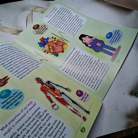 Kids Encyclopedia-Human Body – We Are Turners