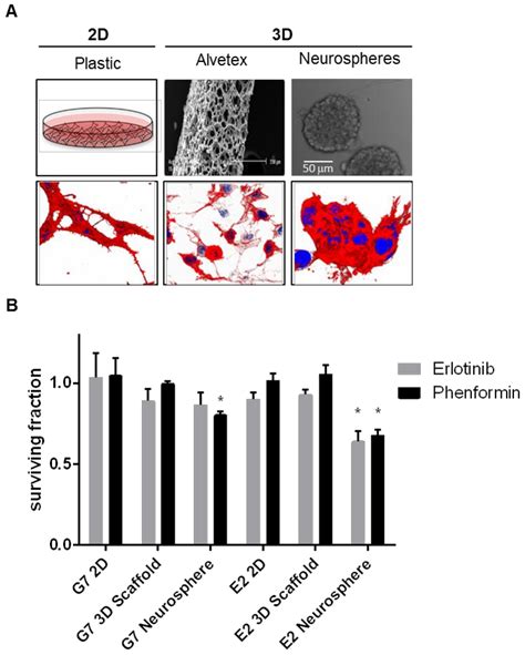 Glioblastoma’s Next Top Model: Novel Culture Systems for Brain Cancer ...