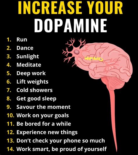 Increase Dopamine Naturally - 14 Science-Backed Ways to Boost Motivation, Focus & Mood