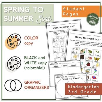 Image result for Sort Spring Worksheet