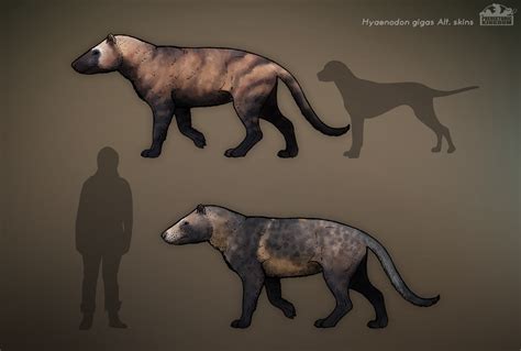 Hyaenodon Gigas. | Extinct animals, Prehistoric animals, Ancient animals