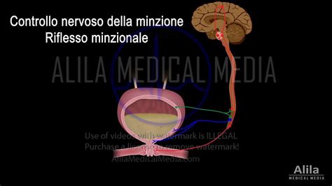 mication