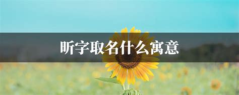 煜字取名的寓意女孩名字_起名问答-美名宝起名网