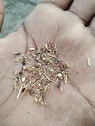 Buy Aarogyam Herbals Tobacco and Nicotine Free Herbal Beedi - Pack of ...