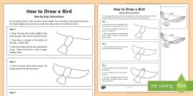 How to Draw a Bird Activity