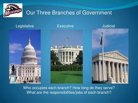 Basic Government Structure 的图像结果