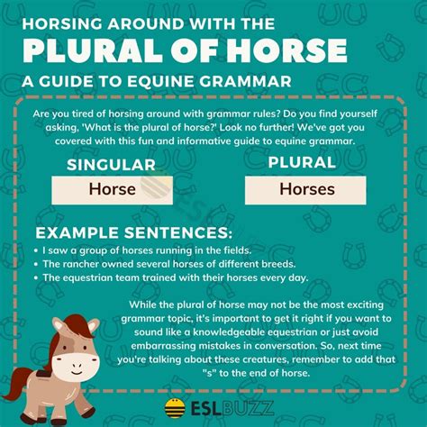 What Is Plural Of Horse at Maurice Keeton blog