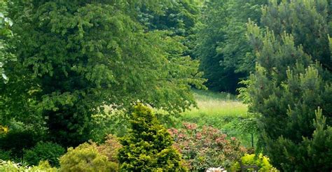 Ban-de-Sapt Tourism (2023): Best of Ban-de-Sapt, France - Tripadvisor