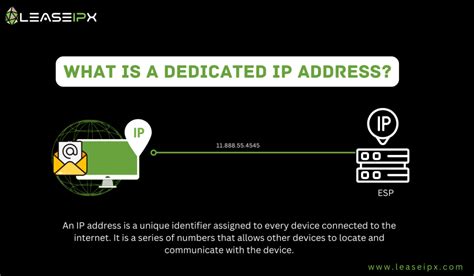 Image result for Dedicated Peeblehost IP