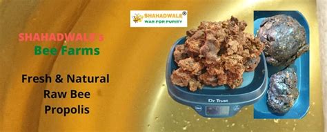Raw Bee Propolis