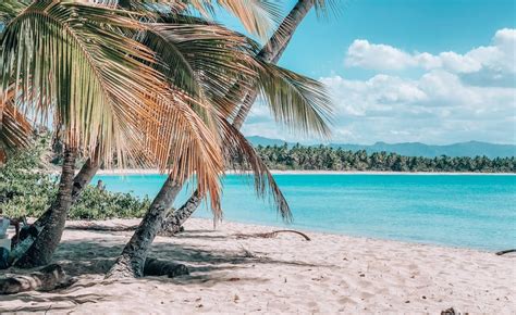 Playa Esmeralda beach, Dominicana - Ultimate guide (January 2026)