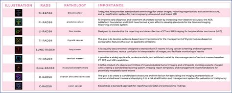 SciELO Brasil - Breast Imaging Reporting and Data System (BI-RADS®): a success history and ...
