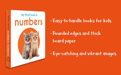 My First Book of Patterns Numbers 的图像结果