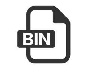 Image result for Open Binary File