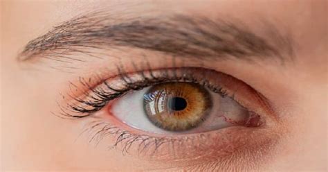 Left - Eye Twitching: జ్యోతిష్యం ప్రకారం.. ఎడమ కన్ను అదిరితే బంగారం ...