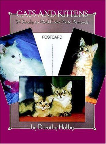 Cats and Kittens Twenty Four Ready-To-Mail Color Photo Postcard ...