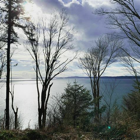 South Beach Trail - Washington | AllTrails