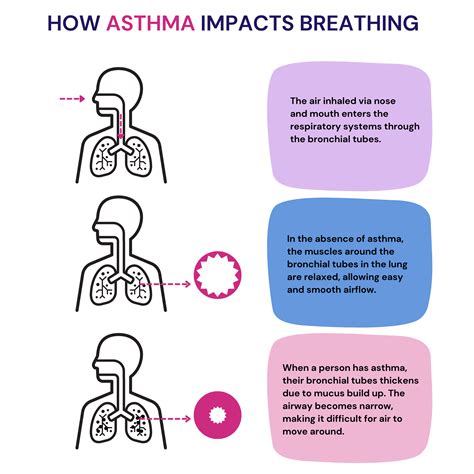 Asthma Gene The Asthma Risk Gene, GSDMB, Promotes Mitochondrial