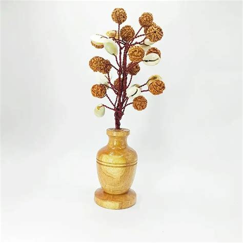 Buy Tree Online – Pandit.com