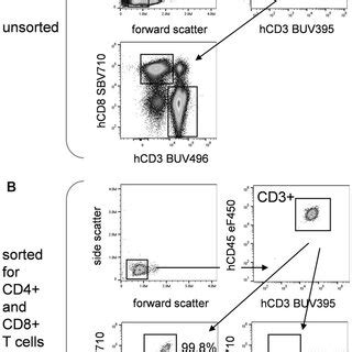 Image result for Cell Sorting Flow Cytometry PPT