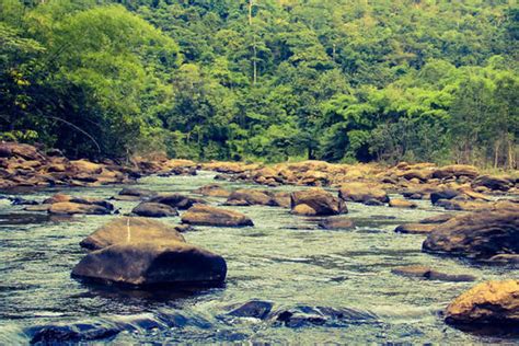 Maredumilli 7 Hills Resort