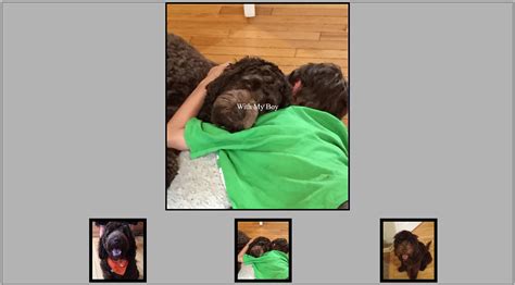 Image result for Foto JavaScript