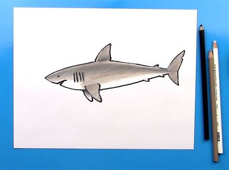 How To Draw A Shark: 10 Easy Drawing Projects