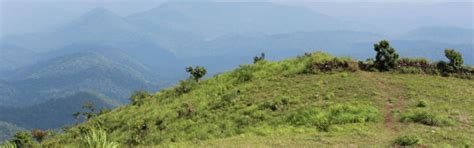 Pullumedu, thekkady, India - Top Attractions, Things to Do & Activities ...