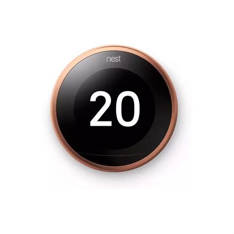 Nest Programming Tutorial 的图像结果